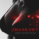 shaarawy