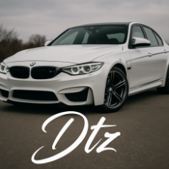 Dtz